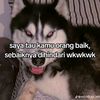 zyrexcuk9823