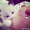 nauraaa_266