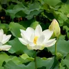 ngocuyen2702