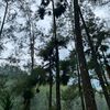 rahayudimyati