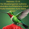 mandishamisa1234