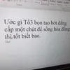 nguyenvy20132