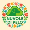 Nuvole di Pelo
