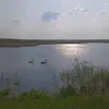 dyggodrlhco7