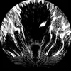 ws_whiteshark