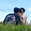 adyy_arll