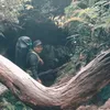 mariitexxx