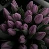 bettbree2