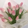 sidra_06m