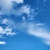 zenb_32