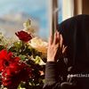 abeermhamd720