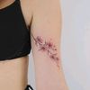 cherryblossom_xm