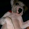 zamas.db