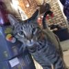 ttv_9820