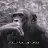 m__jfd