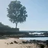 nerildoloyola69