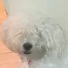 achrafbouklili