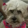 spaozinn