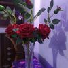 user9004161281688