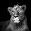 إيڤلين البعشيقية🇮🇶🦁