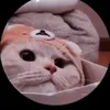 _choya._