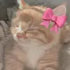 pinkyyworld1