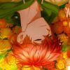 sam...7077
