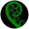 koruscenictours