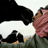 ﮼سفيان الحويطي 🐆