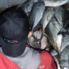 story mancing