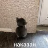 mh_artemo4ka