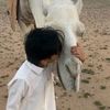 ll5ioo