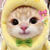 its_khanzaaaaa