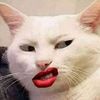 isku..roon..is..jecel