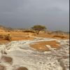 d_al7blani
