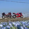 viettc34