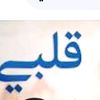talaat0652