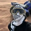 31_tt
