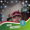vincelorenzovics