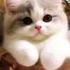 handsomed1