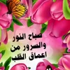 user2541737515993