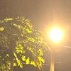 senja01_7