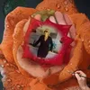 rosivelotto