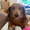 nic_722