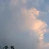 _sardor____1