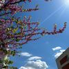hafsa_photo