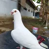 25rifkymempeng