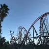 mrcuttyknife