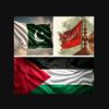 shaad 🏴🇵🇸🇵🇰