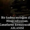 usema.06..06